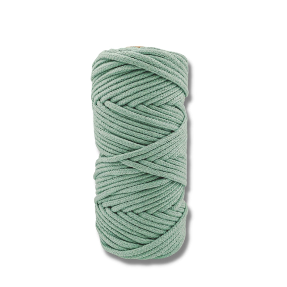 Cordón Trenzado Color