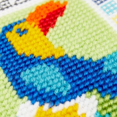 Kit de bordado Tucan-DMC