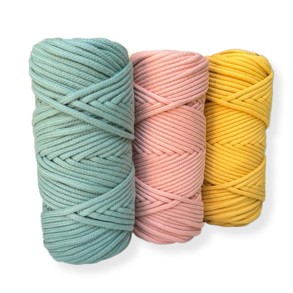 Cordón Trenzado Color