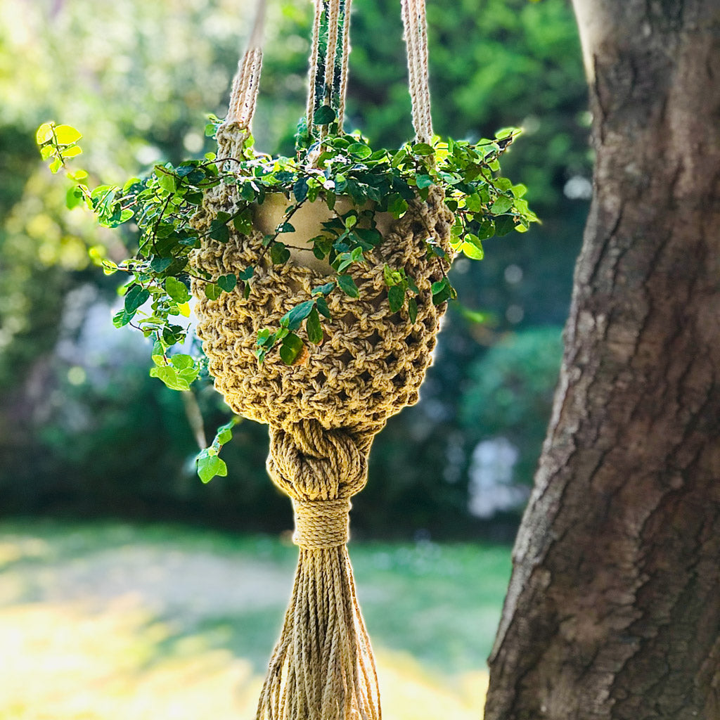 Instructivo Portamaceta Canasto (Yute/Cordón)