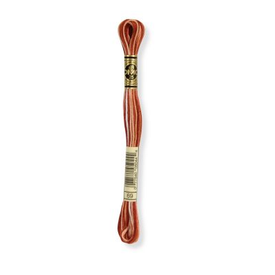 Hilo Bordar Mouliné 117 DMC (Matizados)