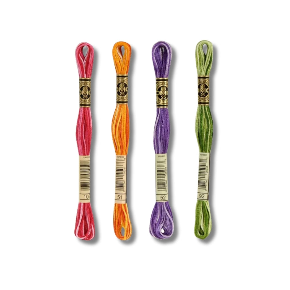 Hilo Bordar Mouliné 117 DMC (Matizados)