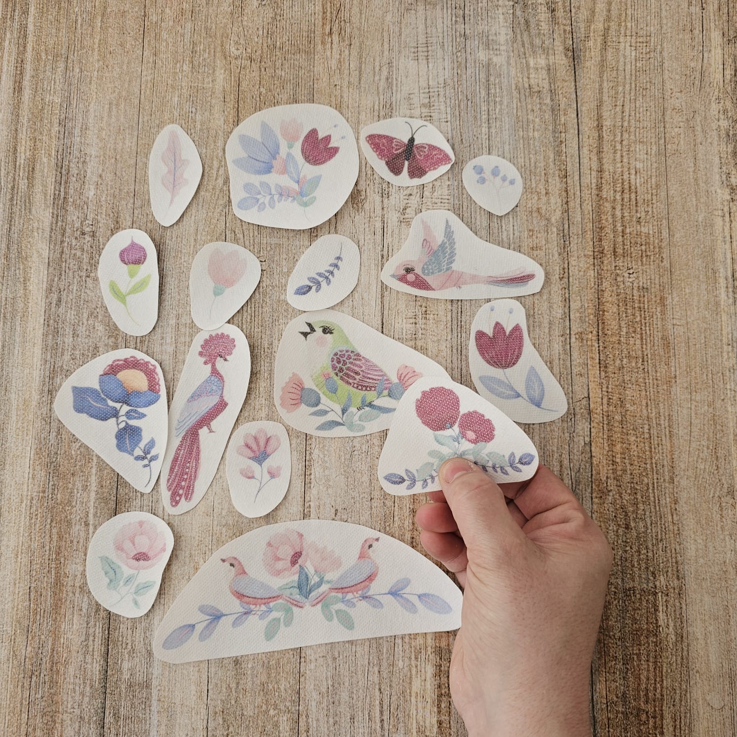 Set de Parches bordado Color Pájaros Silvestres (MY KIT)