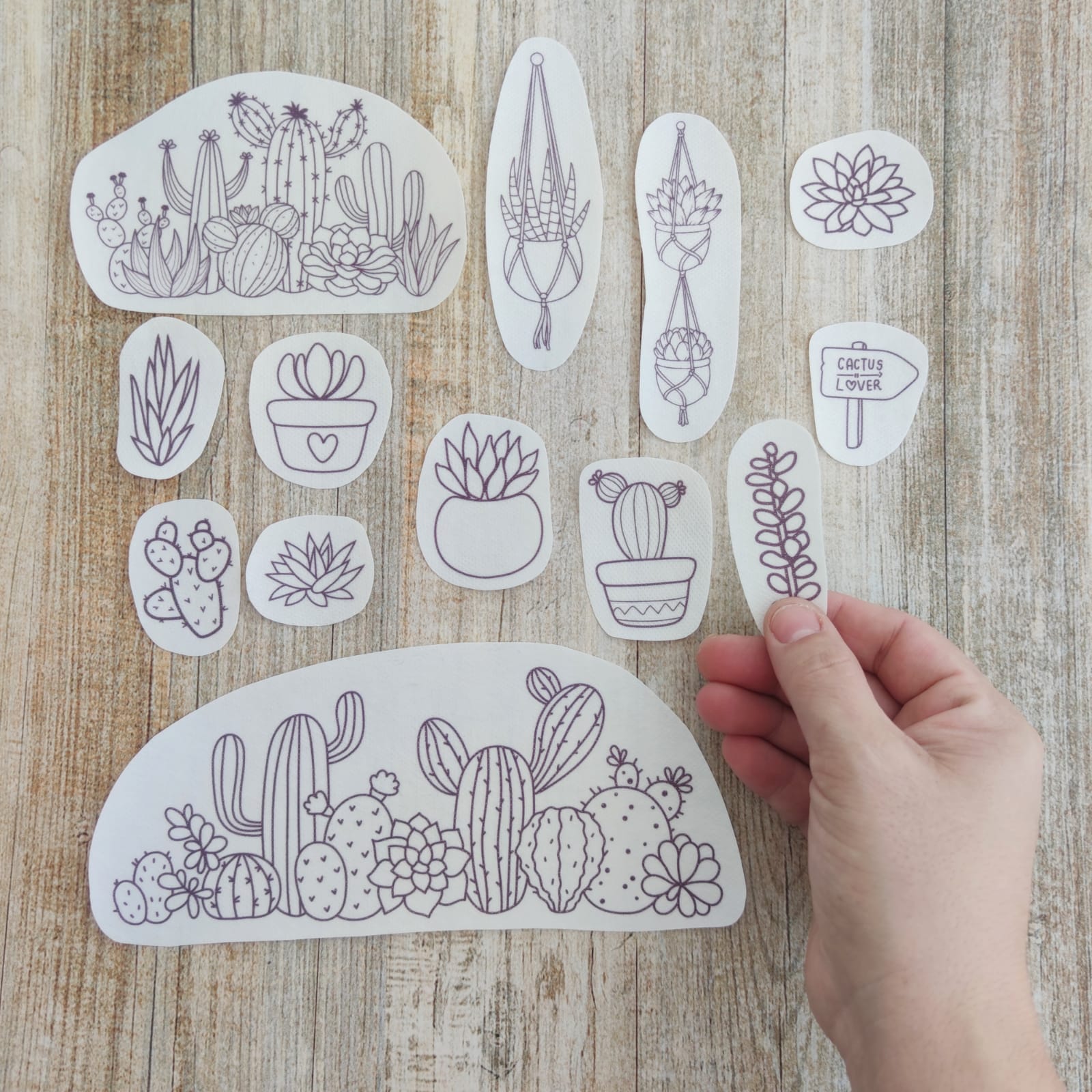 Set de Parches bordado Suculentas (MY KIT)