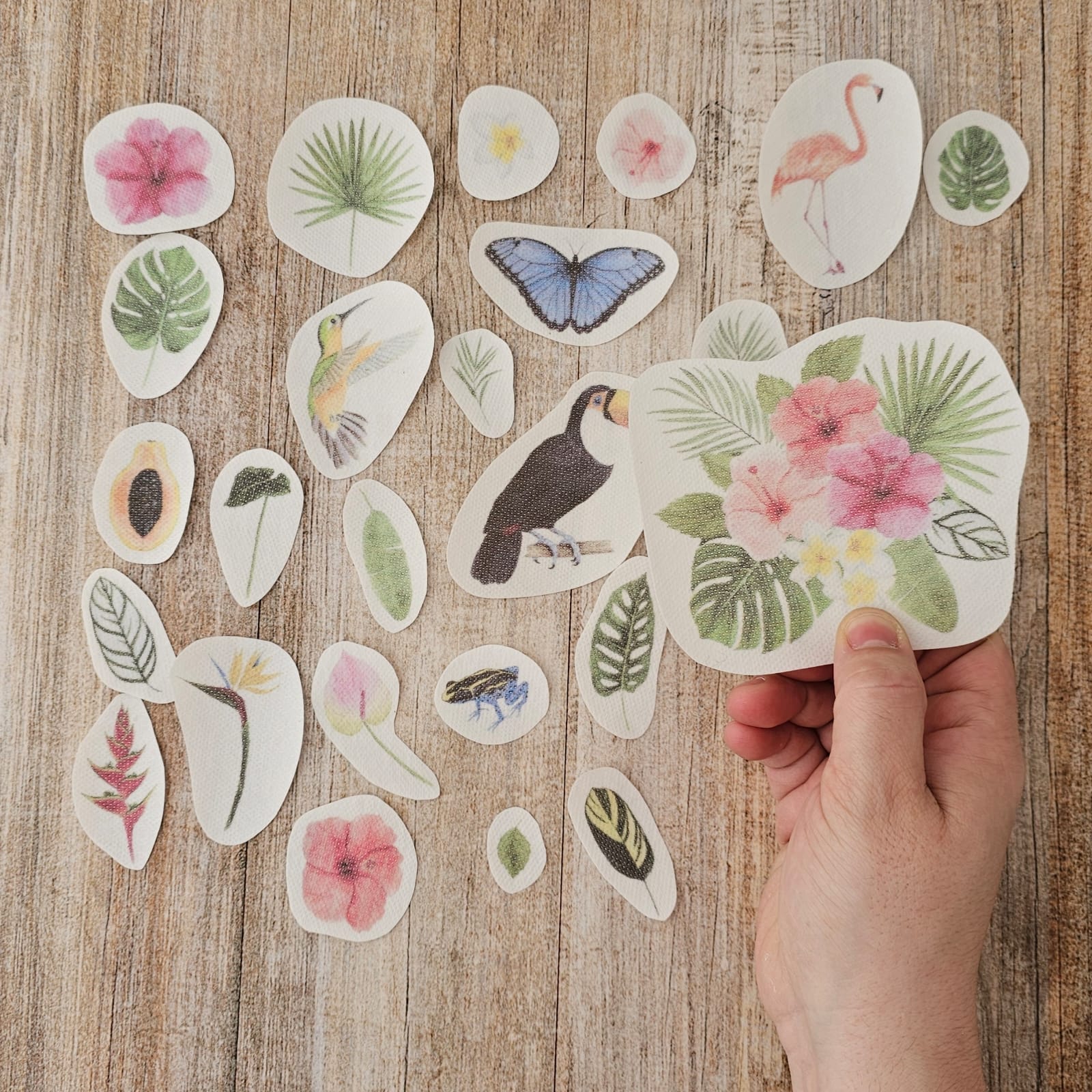 Set de Parches bordado Color Tropical (MY KIT)