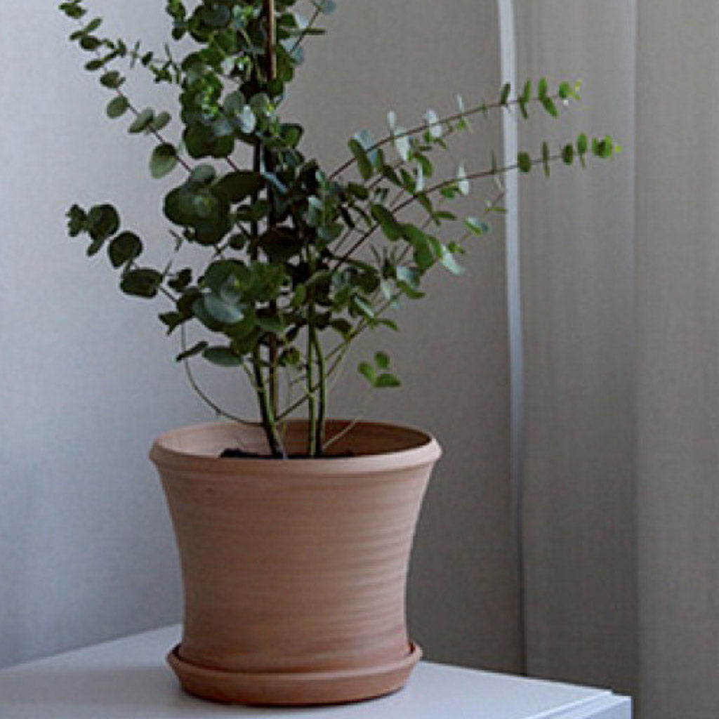 Macetero Lirio